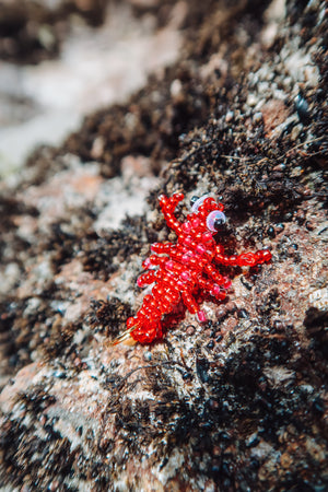 Sea Critters