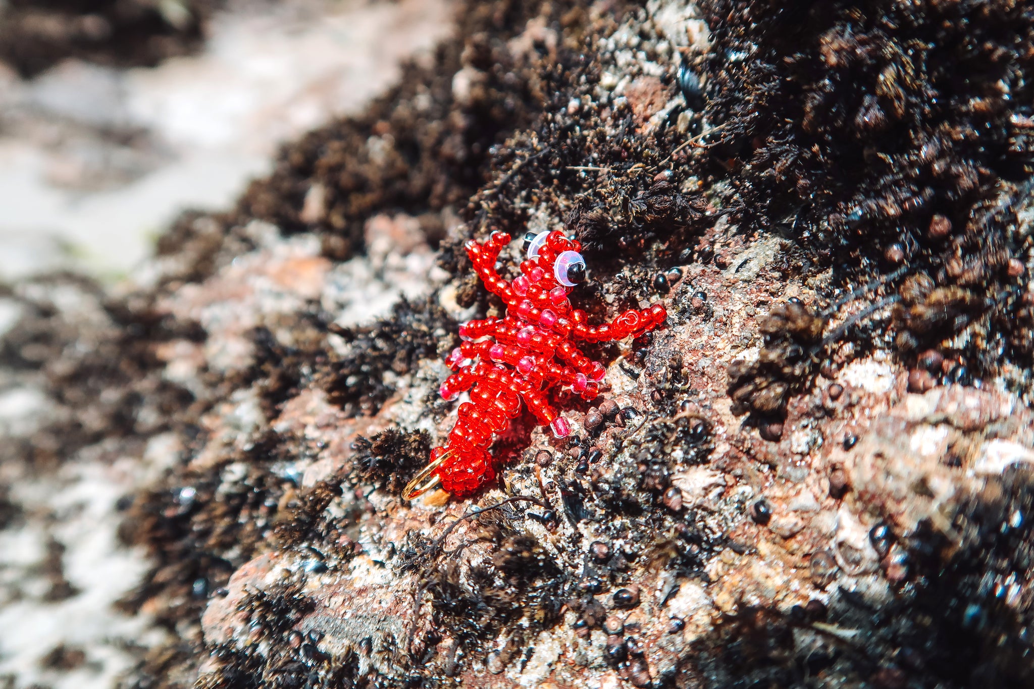 Sea Critters