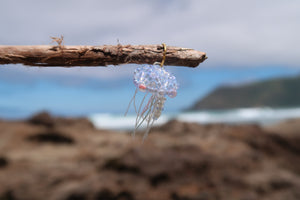 Sea Critters