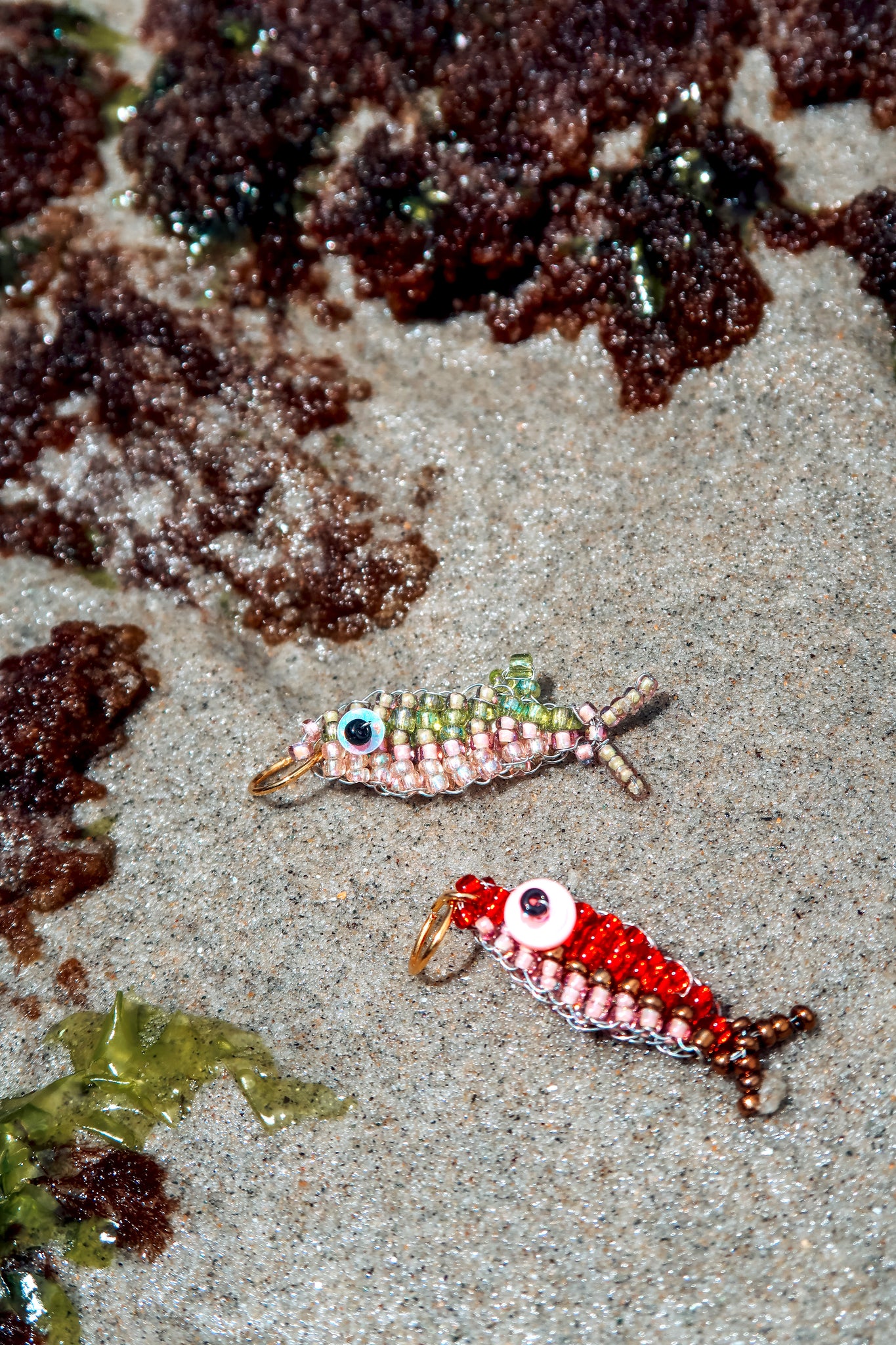 Sea Critters